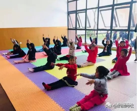 大源片区小学排名,高新区大源片区学校排名