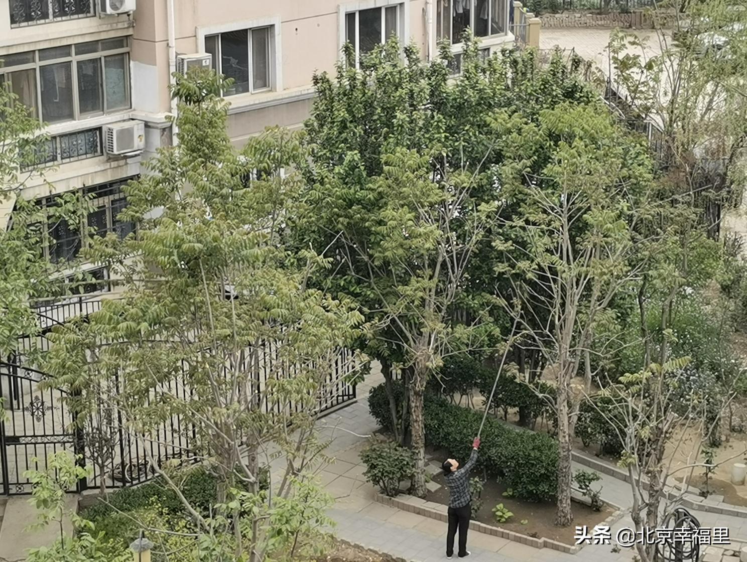 17号线对天通苑房价的影响,北京地铁17号线通车天通苑东区