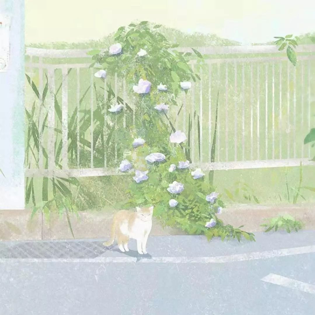 一位女大学生的家教心得:《我的家教之路与一些小建议》