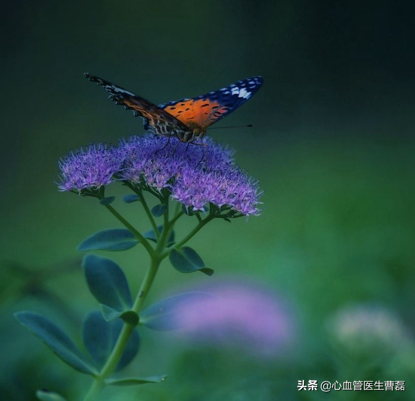 同时出现胸闷气短嗓子不舒服,胸闷气短像缺氧一样是什么原因