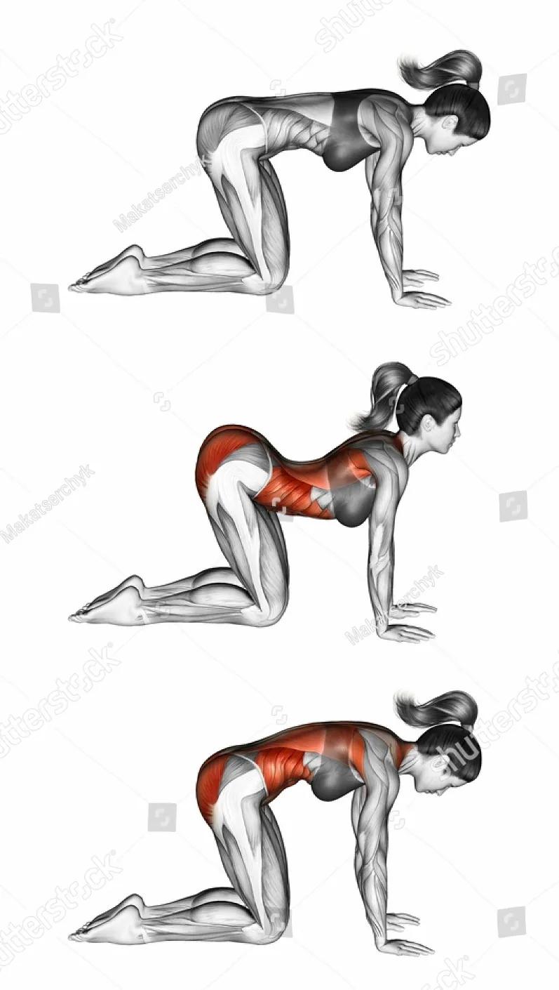 放松肌肉的动作图,各个肌肉的放松方法