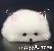 张庭夫妇还会做微商吗,张庭微商事件