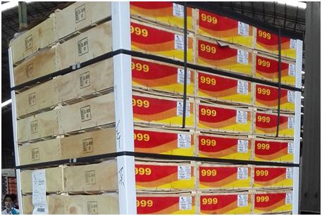 进口提子哪些品种 (进口提子品种及图解)