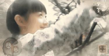 薛佳凝皈依佛门现状,薛佳凝为什么要皈依佛门