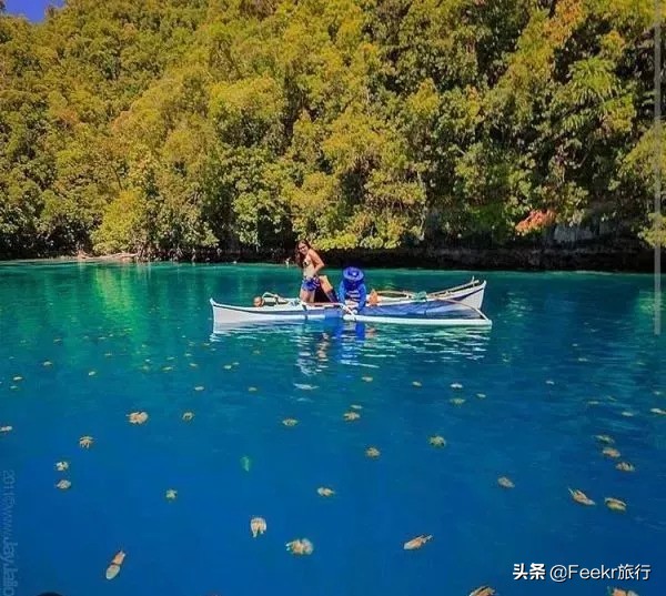 最不想分享的小众海岛,小众海岛旅行
