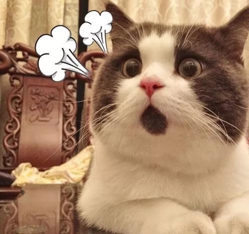 同样是线上恒大卖房子可以红星卖家具为什么就不行？