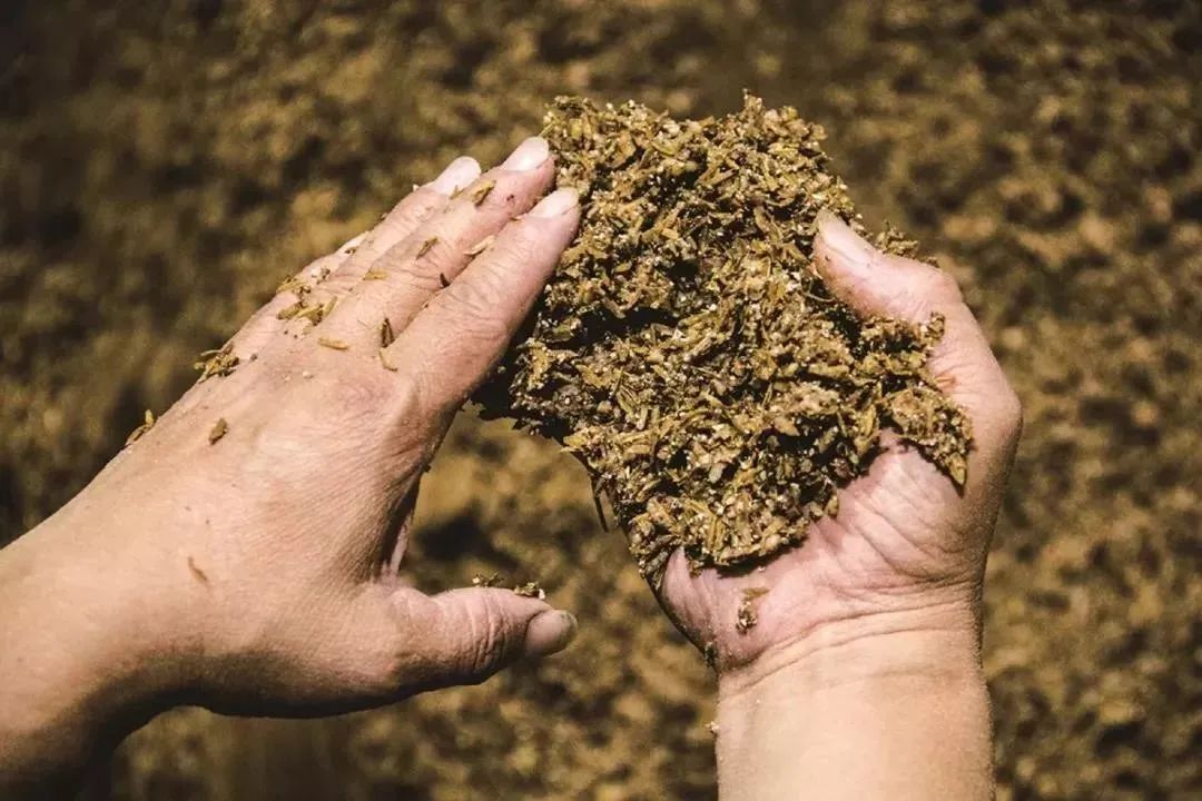 古井贡酒发展潜力,古井贡酒成长轨迹