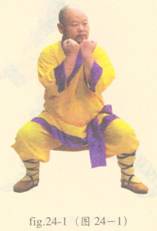 少林护心意门拳全套演示,少林拳长护心意门拳介绍