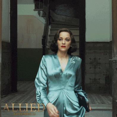 蝴蝶堂面料,蝴蝶堂