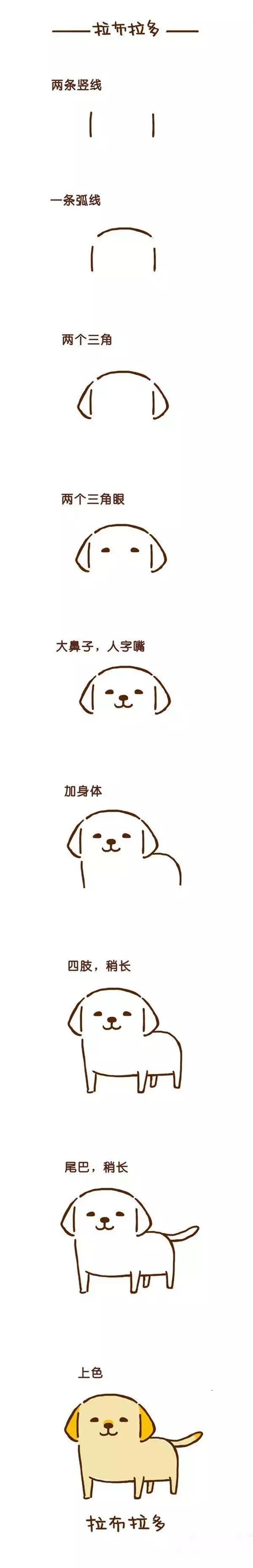 跟猪年有关的谜语,十二生肖谜语简笔画