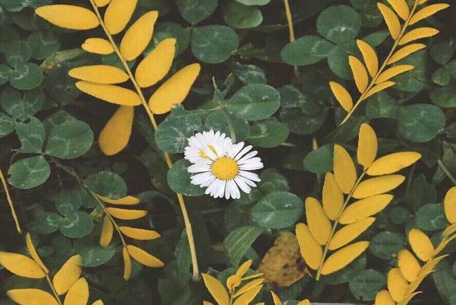 怎样让自己生气的时候变冷静下来,生气的时候如何快速冷静的方法