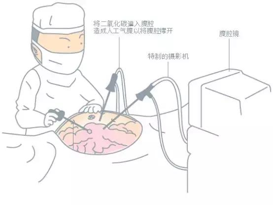 三八节愿你温柔不变,三八女神节愿你被温柔以待
