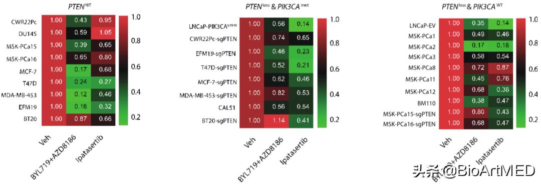治疗前列腺癌症的最佳选择,局限性中危前列腺癌的治疗方法