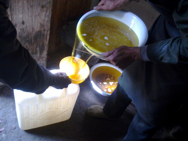 正宗山茶油求购,山茶油销售渠道招聘