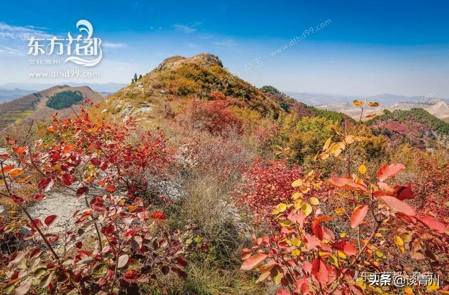 怀古东峪村悟道黄龙山——你所不知的东峪古村