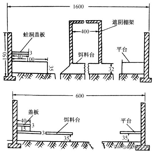 农业部对人工养殖牛蛙的最新规定,养殖牛蛙跟公司合作模式