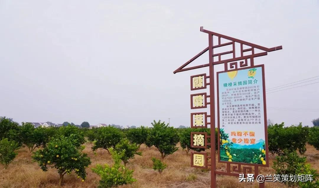 汉寿马涧村，此岸闻歌声，甜如糖橙的诗意栖居地