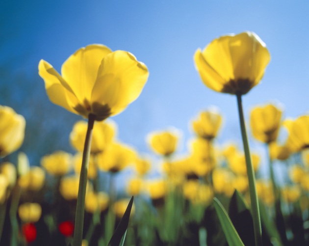 一个人落魄的时候,一个人落魄时才会懂