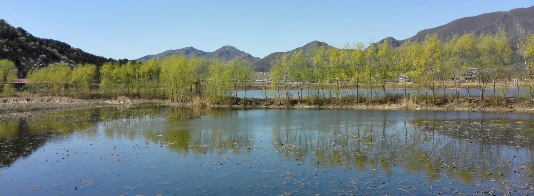北京怀柔红螺寺景区有疫情吗,北京怀柔疫情红螺寺还能去吗