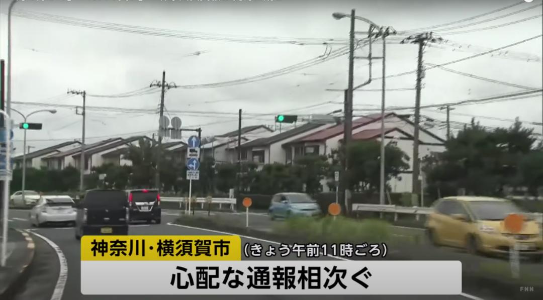 日本是不是真的鱼群大量死亡,日本近海大量鱼死亡是真的吗