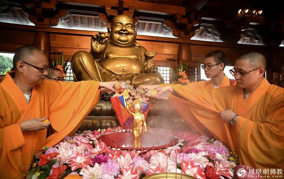 佛法怎么解决这次疫情,疫情期间如何欢度佛诞节