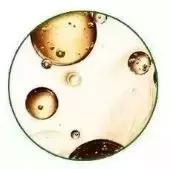 最强粘度面膜,复活草面膜补水面膜第一名