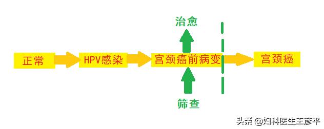 2022年做宫颈癌筛查大概多少钱,宫颈癌筛查一年半会得宫颈癌吗