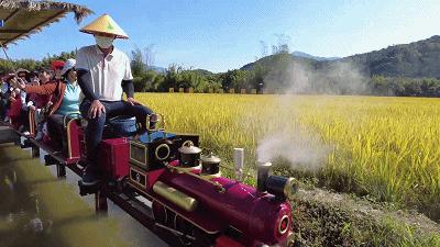 这么美的地方你真的去过吗,这么美的地方简直是人间仙境