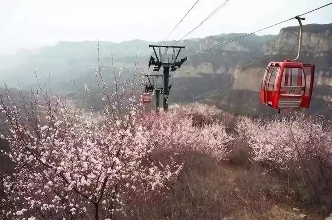 京郊最美的十大花海,京郊这些浪漫花海惊艳初秋的北京