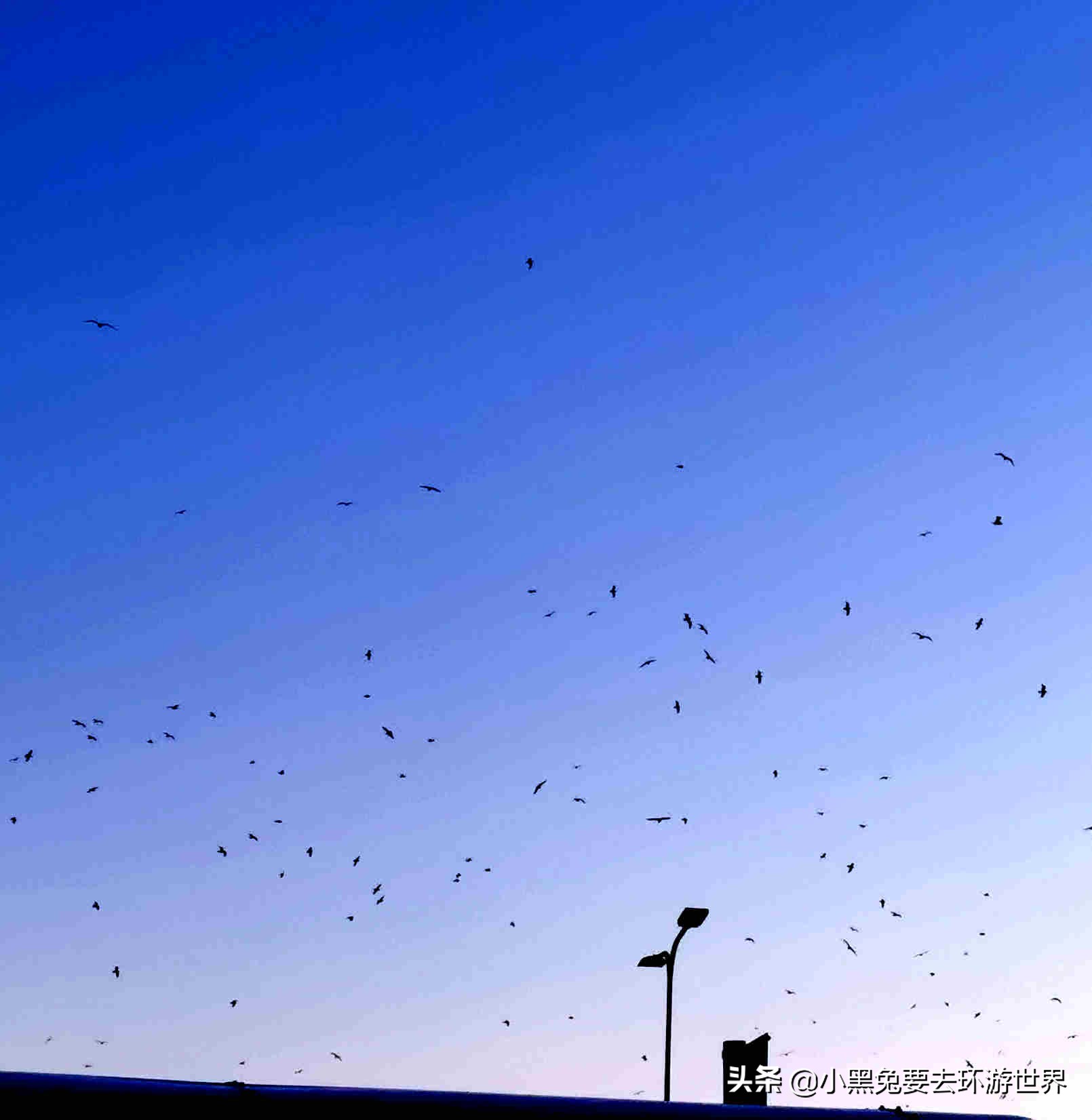 铚$瑪缁樺埗濉旀灄鑰佸煄,鐖辨矙灏间簹缁樼敾