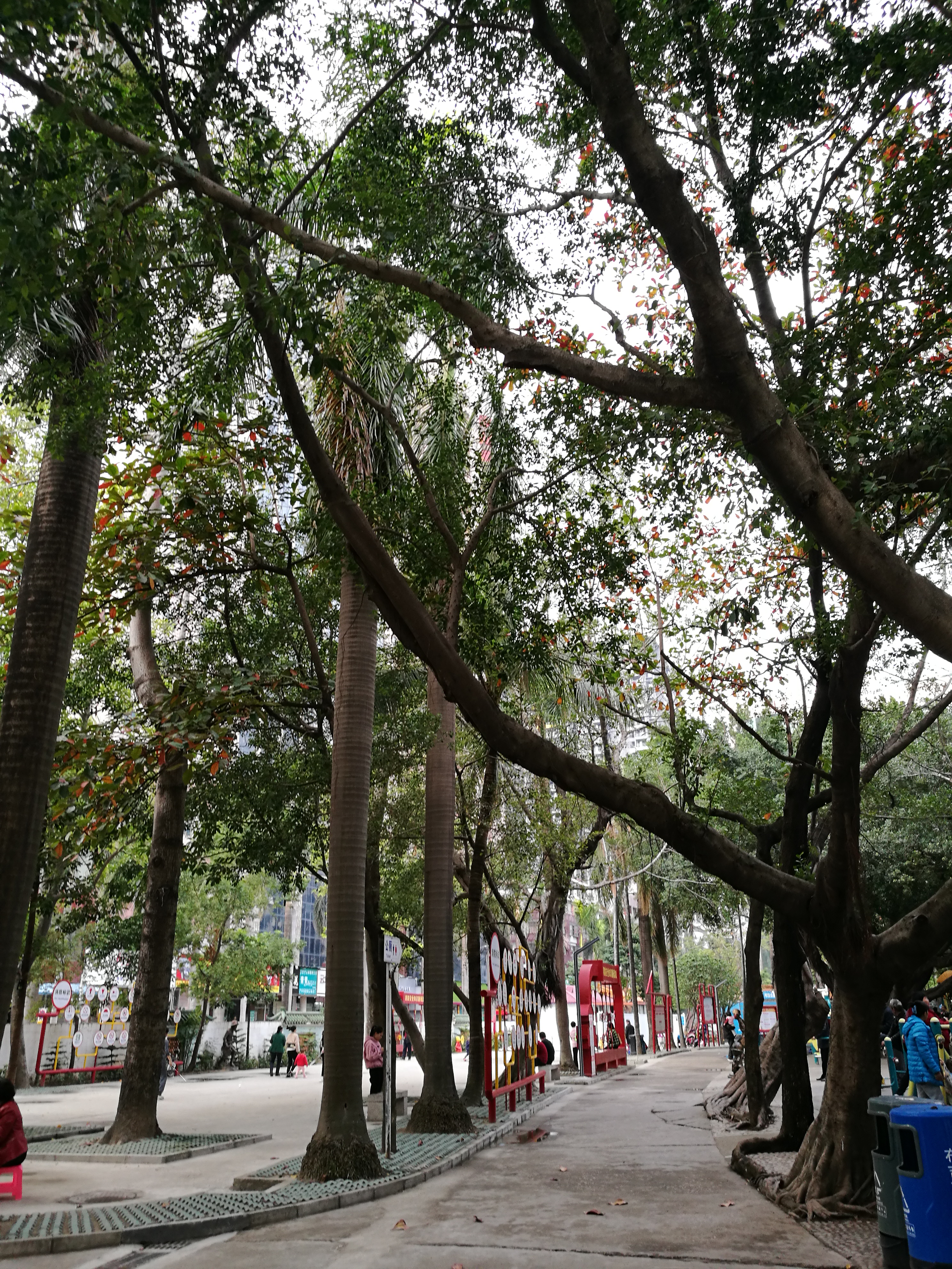 平安夜偶遇第一场雪,平安夜偶遇生日