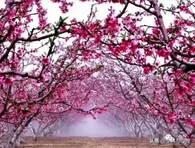 善良是一个人最大的信仰,善良是一个人最大的财富