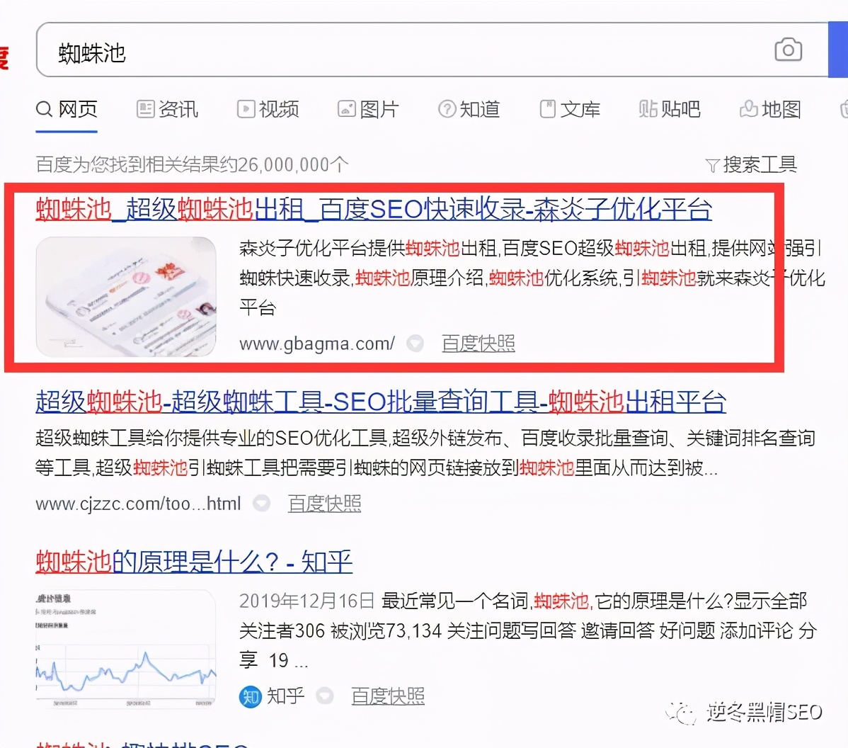 逆冬：我是如何把蜘蛛池这个词做到首页的「真实记录」