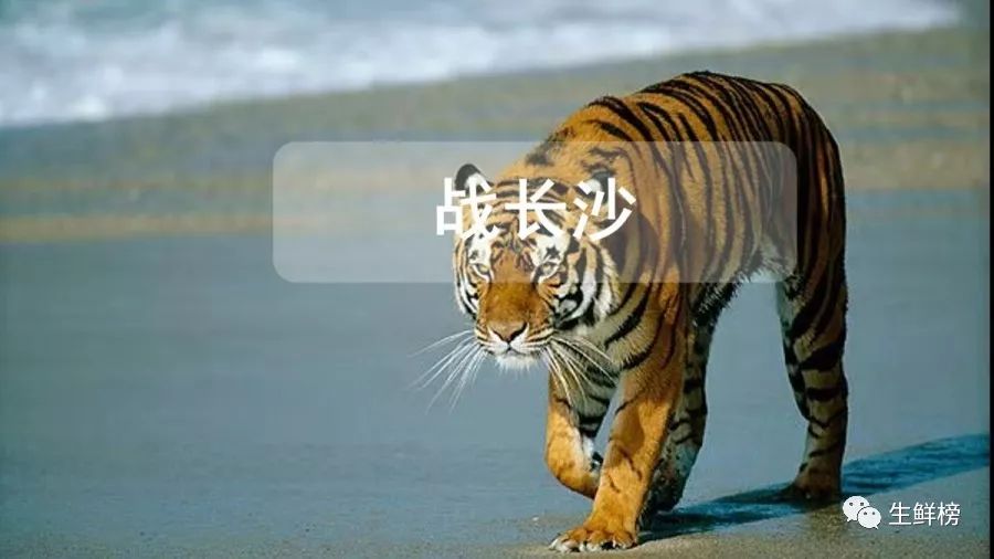 长沙生鲜：外敌入侵，生死大战