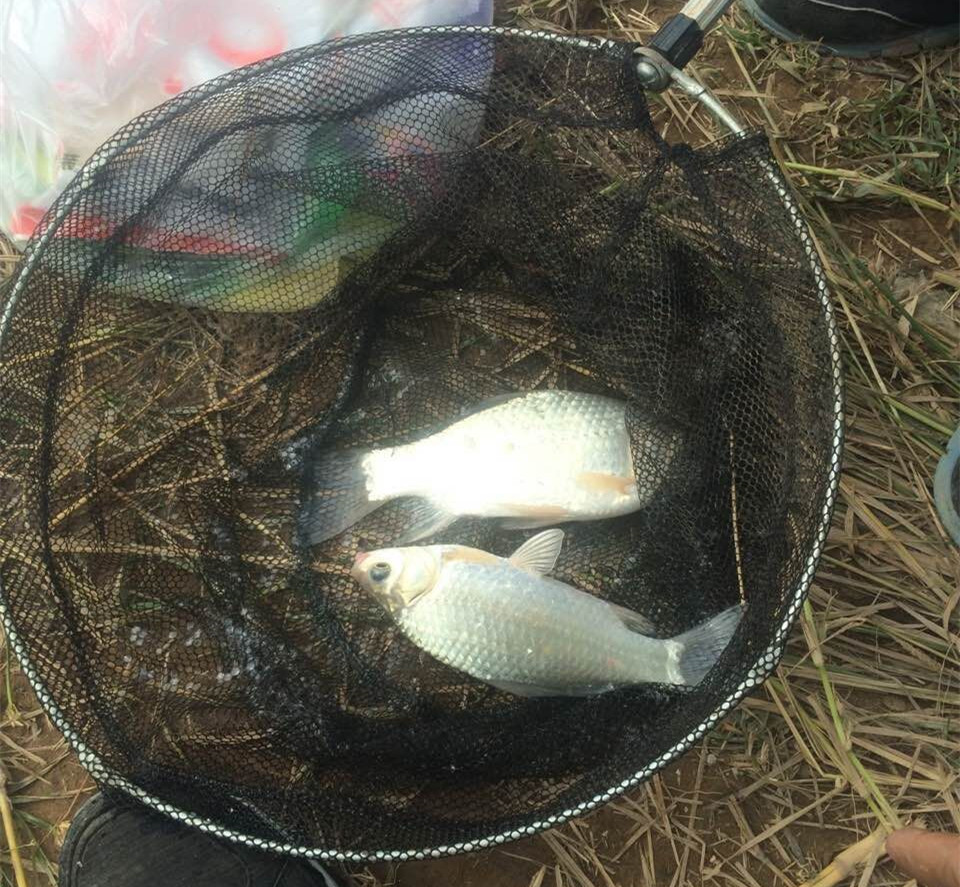 秋冬怎么钓鲫鱼线组钩漂如何搭配,钓鲫鱼钩线漂搭配