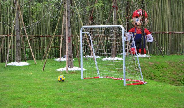 重回校园体验大学生,重回校园操场体验青春活力
