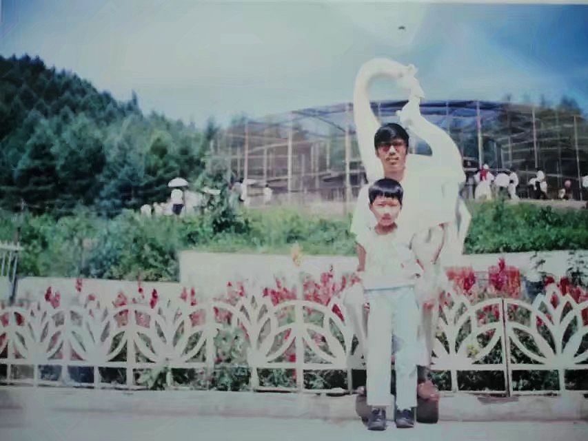 伊春林区往事,伊春林区往事1982年