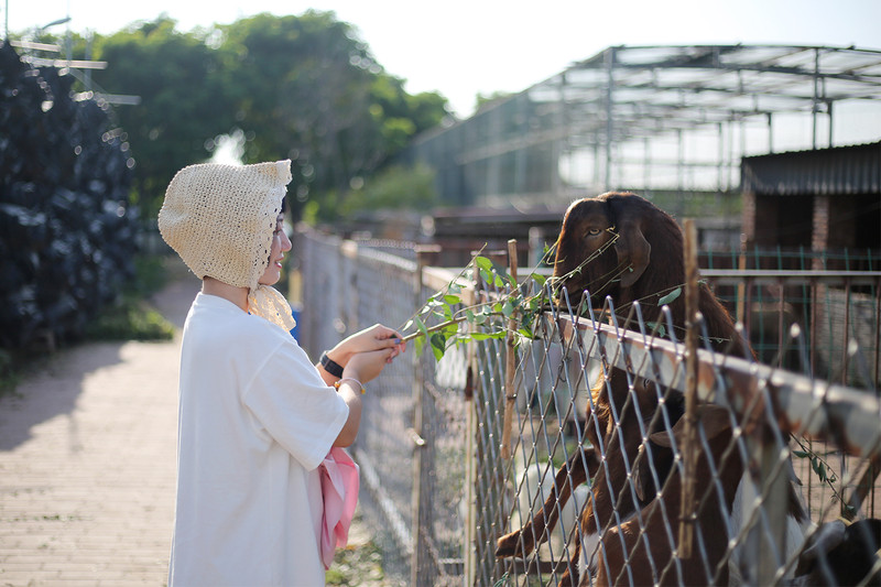 两天一夜游密云,密云两日游最佳攻略
