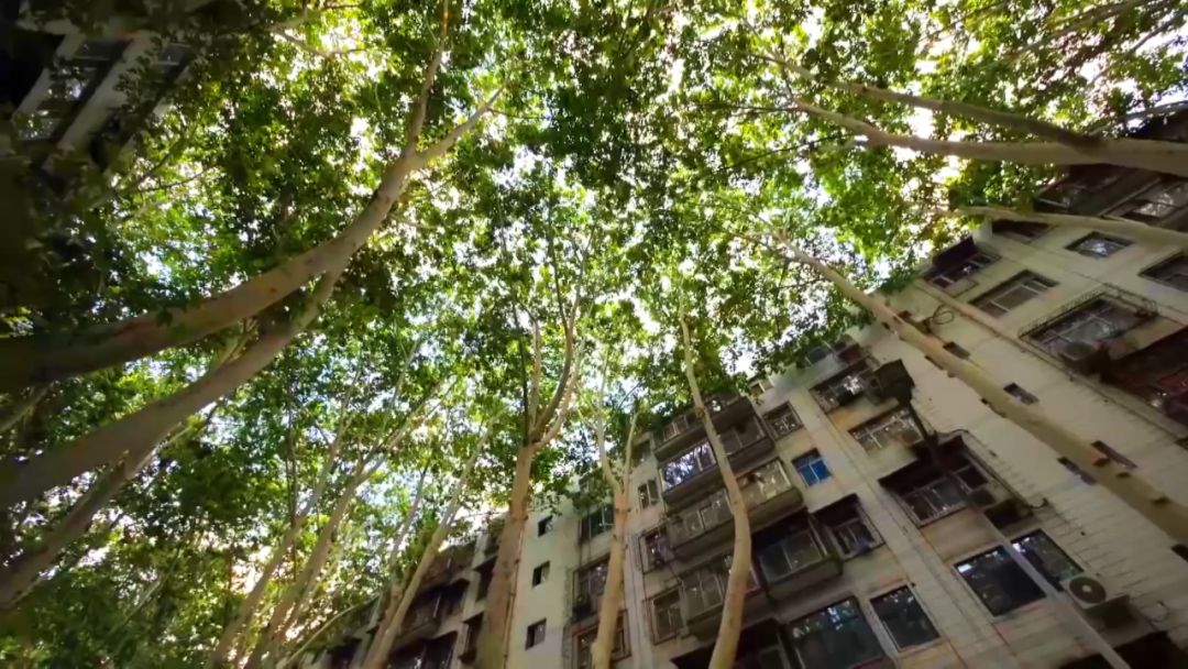 閮戝窞椋為笩瀹跺洯鍥剧墖澶у叏,閮戝窞椋為笩瀹跺洯椋庢櫙