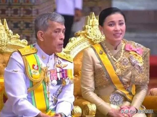 未雨绸缪，42岁素缇达王后知诗尼娜难斗，修整“朝天鼻”再争宠