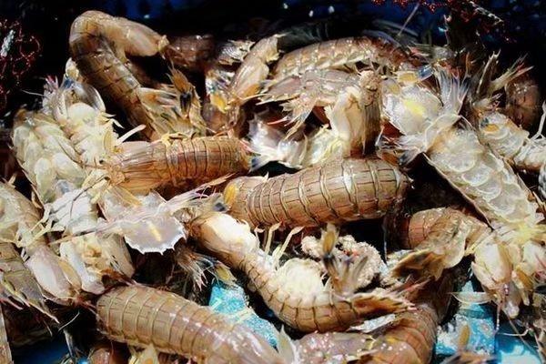 蓝色圣殿不可辜负的美景美食（三亚自由行攻略）