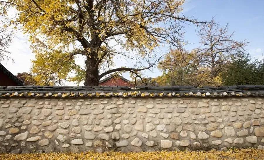 无聊的时候做什么才有意思,无聊时要做的十件事