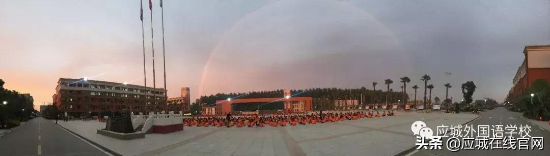 应城新闻今日,2019应城新闻今日头条