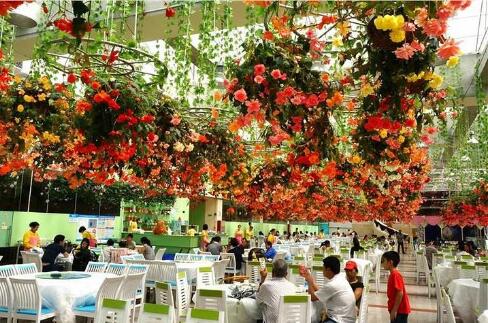 现在小型创业什么行业最赚钱见效,暴利小本创业都有什么