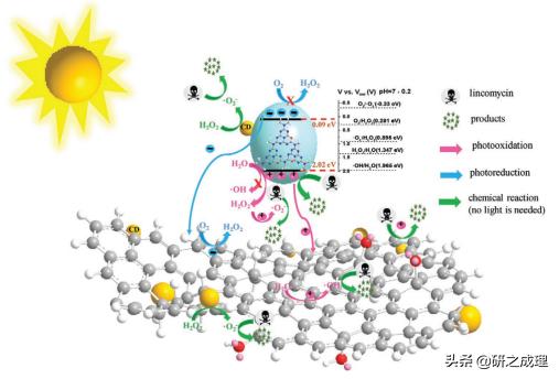鍌寲鍛ㄦ姤,鍌寲蹇姤鏈熷垔