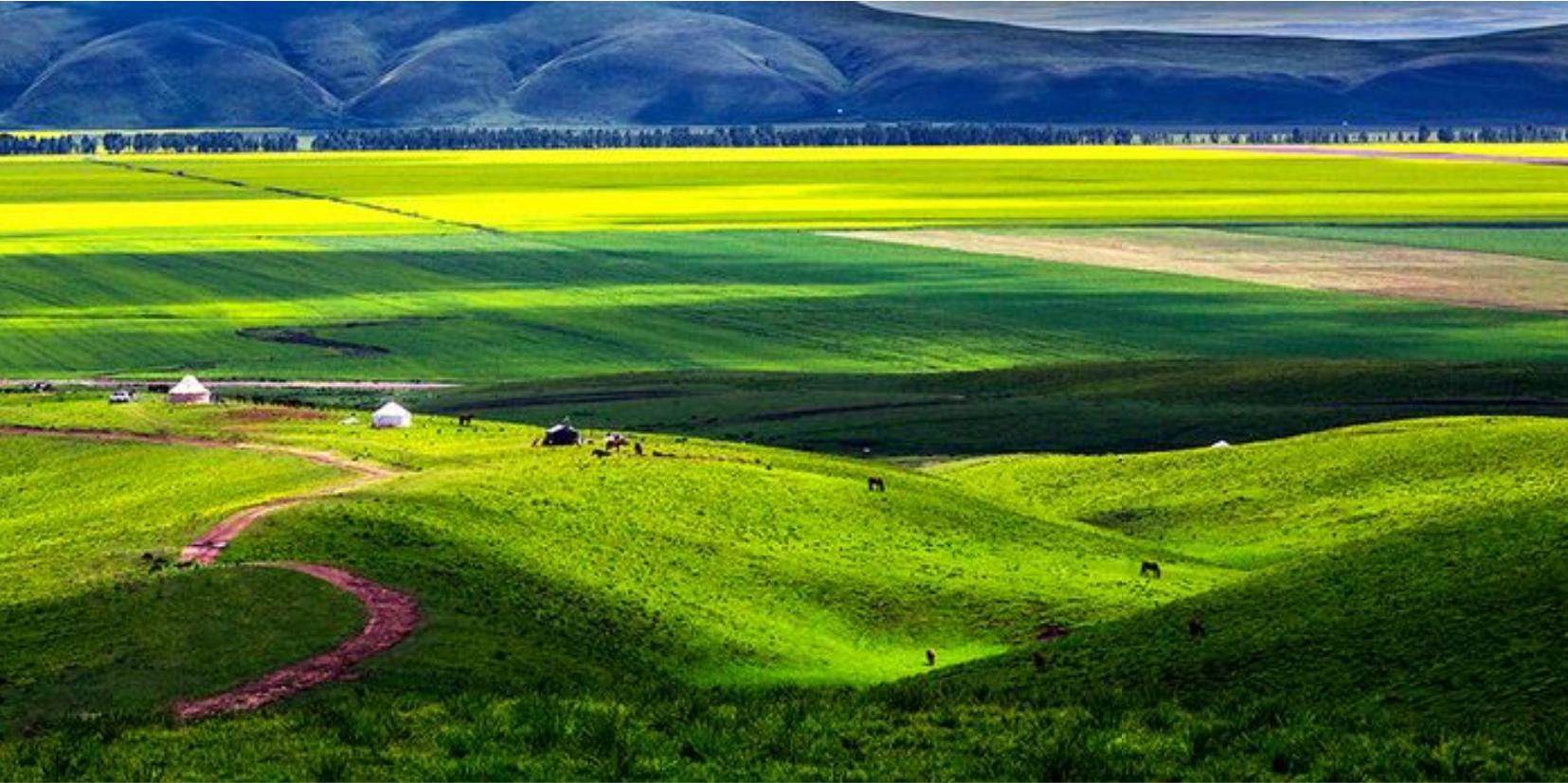 尼勒克县在天山脚下,尼勒克县离天山有多远