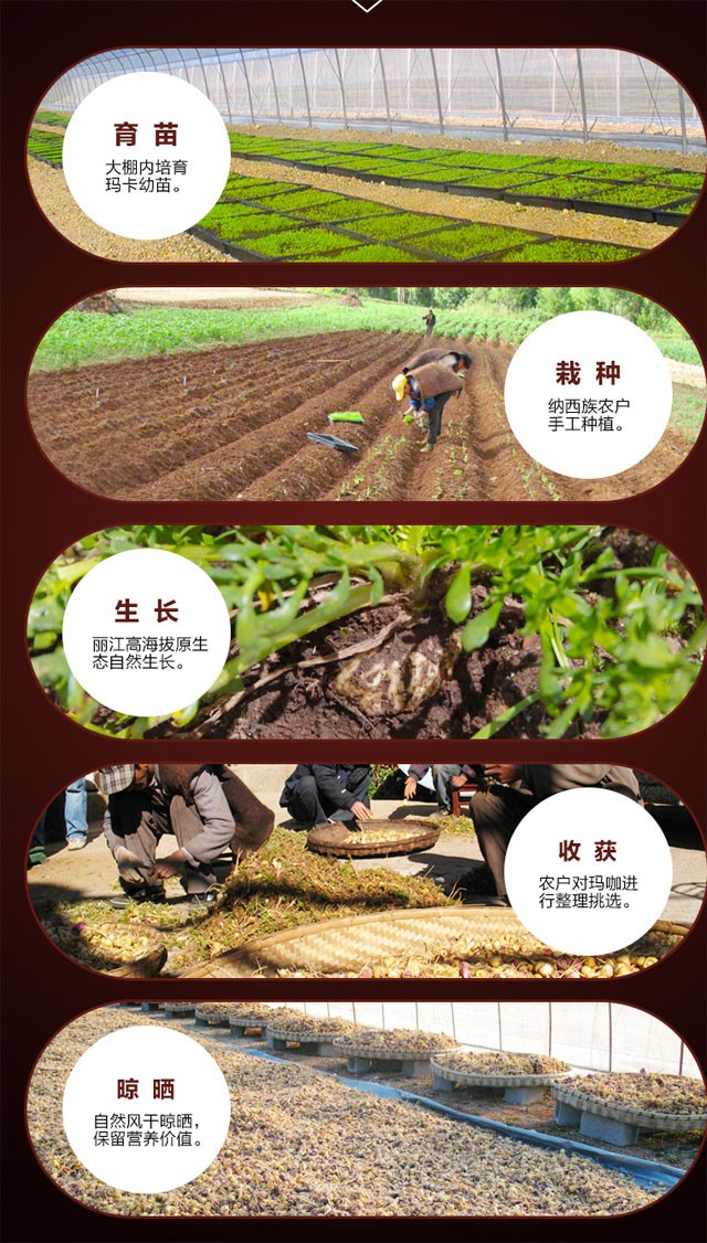 宁夏农科院赵兵,中科院赵兵教授