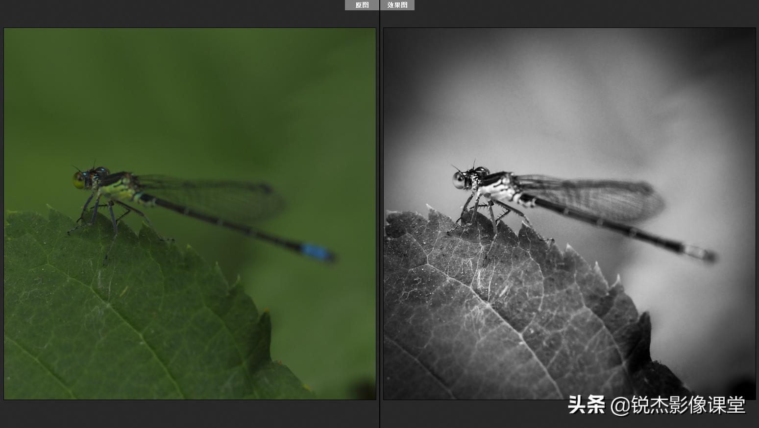 ps怎样调出高质量的黑白照片风景,ps如何给黑白照片上的人物上色