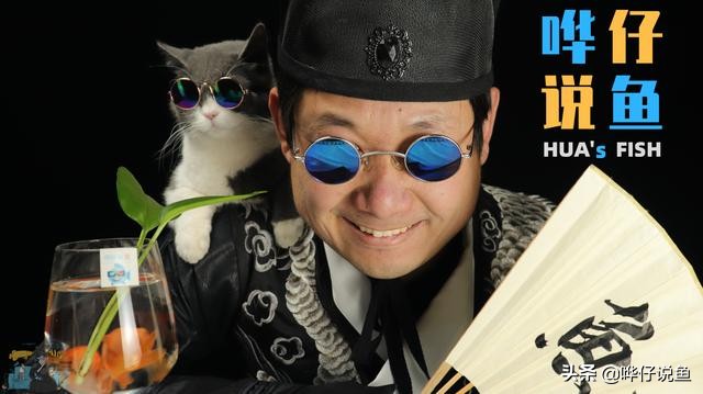 猫毛吸尘器家用全自动2023新款,猫咪吸尘器评测