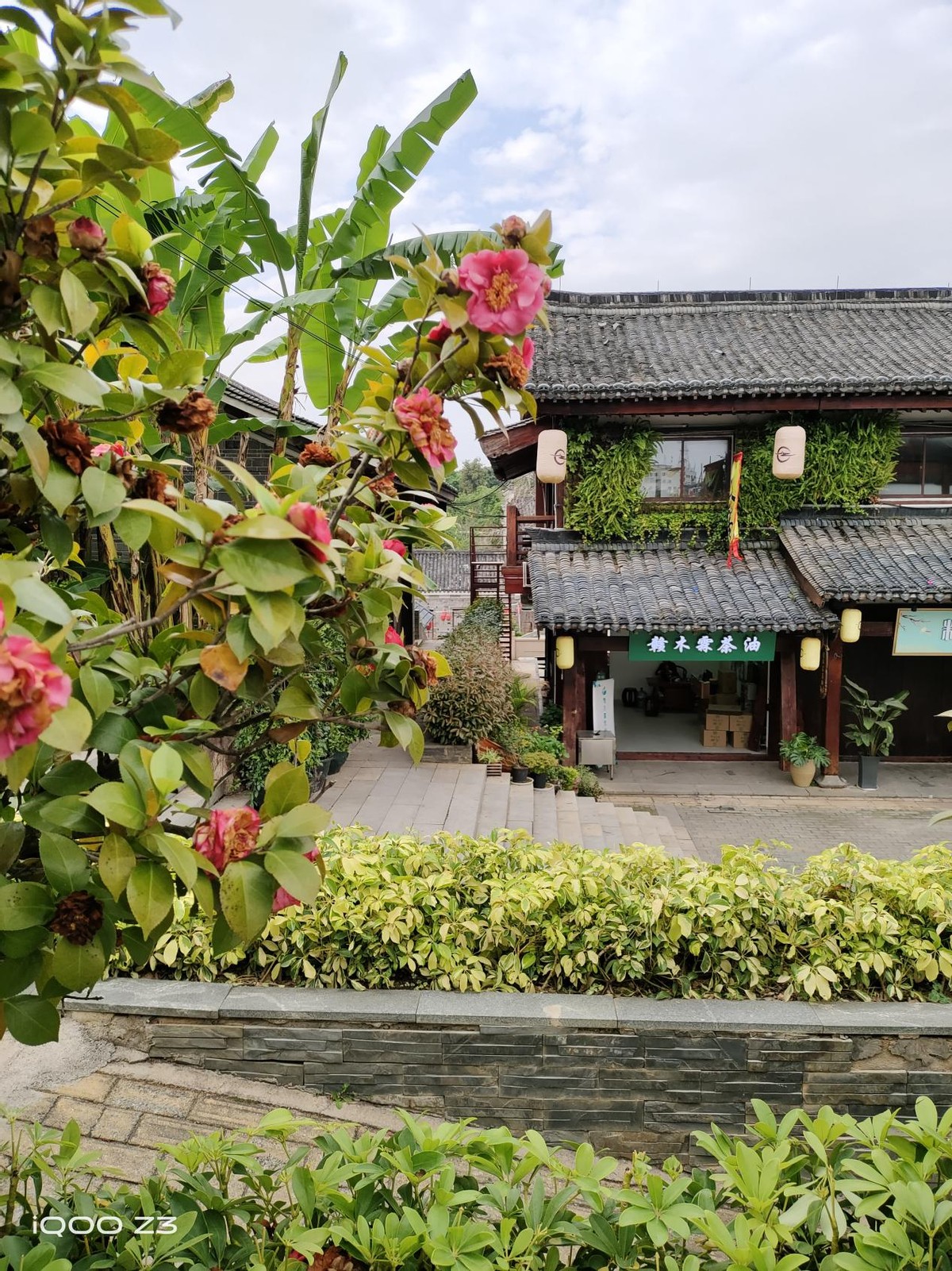 iqooz3性能强悍,iqooz3深度评测